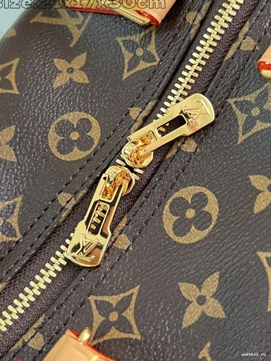 WIS Crafty Speedy Soft Vuitton 30 Louis 0317